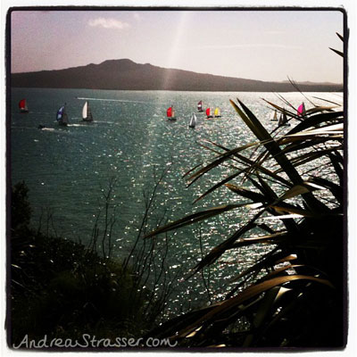 Just beyond the Waitemata Harbour lies the Hauraki Gulf - a sailing paradise. The hill in the background is actually a dormant volcanic island, named "Rangitoto". The circular island looks almost identical from all angles, and is visible from many parts of Auckland.