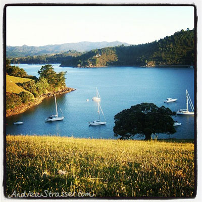 te-kouma-harbour-as Te Kouma harbour in the Coromandel Peninsula.
