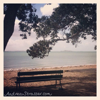 Cheltenham Beach on Auckland's North Shore is a quiet, suburban beach.