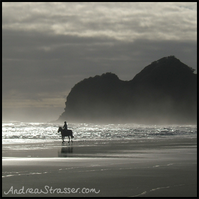Bethells Beach on Auckland's west coast has volcanic black sand... it's gorgeously moody and atmospheric.  