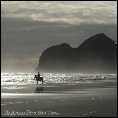 Bethells-Beach Bethells Beach on Auckland's west coast has volcanic black sand... it's gorgeously moody and atmospheric.